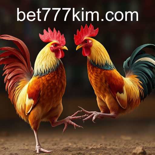 Exploring Sabong Games in the Digital Age with 777kim PH Login